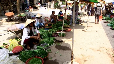 Avian Flu Vidéo 117131431