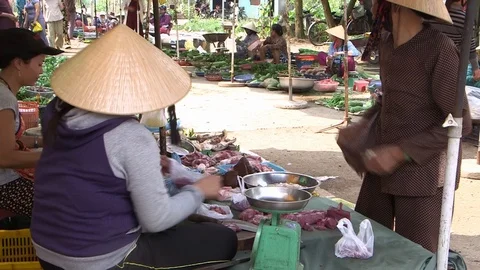 Avian Flu Stock Footage 117131443