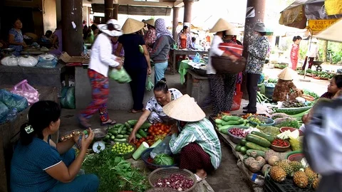 Avian Flu 動画素材 117131453