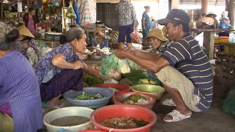 Avian Flu 動画素材 117131454