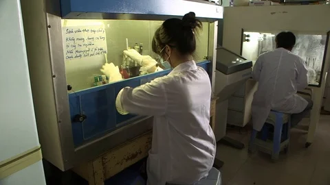 Avian Flu 動画素材 117131857