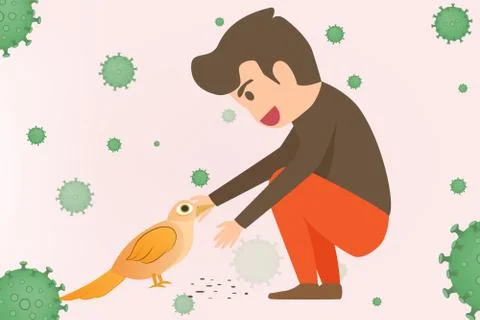 Avian flu infographic elements. Bird flu disease. Discussion on bird flu viru Stock Illustration