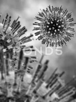 Avian flu virus, H5N1 Stock Illustration