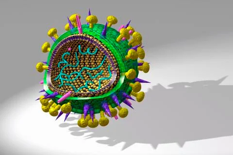 Avian Flu Virus Stock Illustration