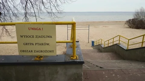 Avian Flu Warning Sign on Beach in Puck, Poland Stock Footage 343908525