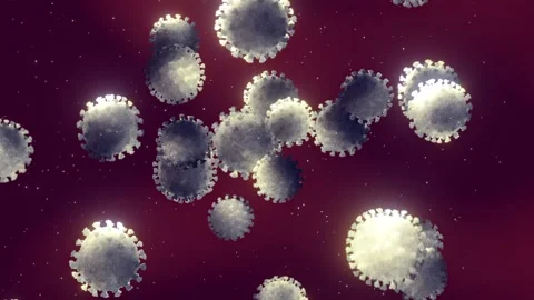 Avian Influenza viruses Video stock 333636615