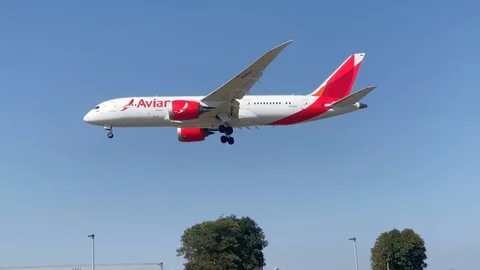 Avianca 787 Stock Footage 115349031