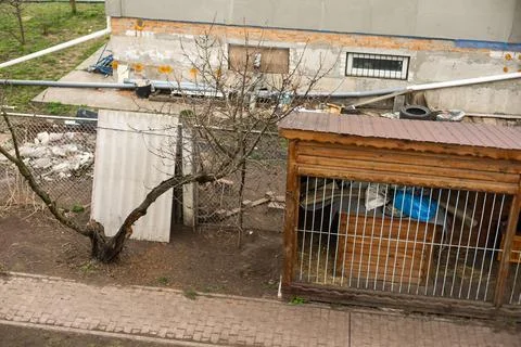 Aviary for dogs, a large plot with a house for huskies, on the street in the Fotos de archivo
