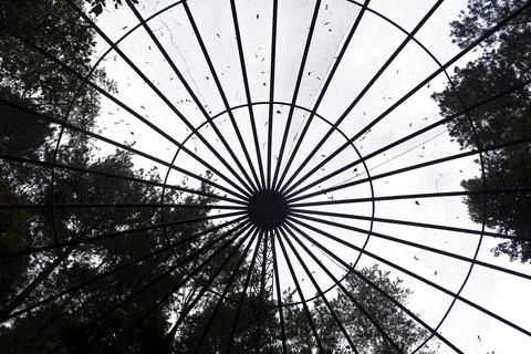 The Aviary Stock Photos