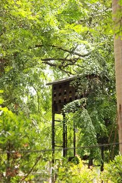 Aviary, wild aviary Stock Photos