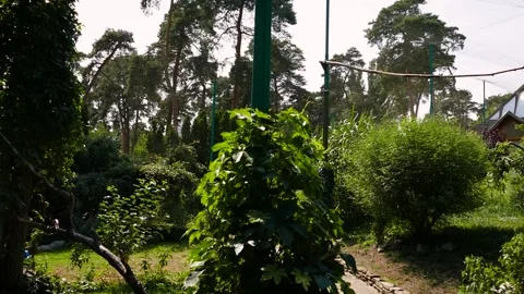 Aviary in a zoo Видео 221362585
