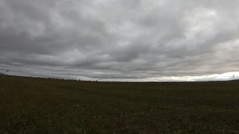 Aviation. Landing. Video stock 117303426