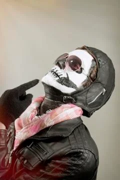 Aviator Skull Stock Photos