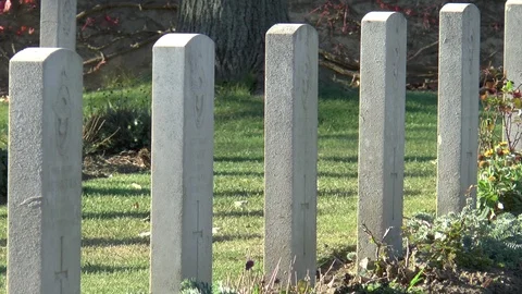 Aviator War Graves Cemetery Budapest Stock Footage 100977505