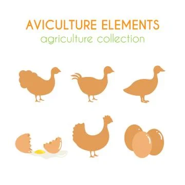 Aviculture vector set Stock Illustration