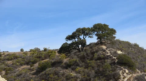 Avila Beach Stock Footage 32507308