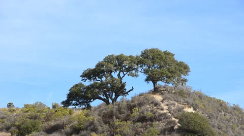 Avila Beach Stock Footage 32507311