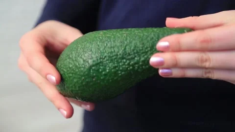 AVOCADO 11 Stock Footage 155549924