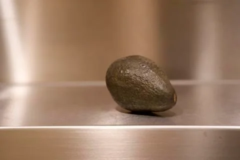 Avocado 543 Stock Photos
