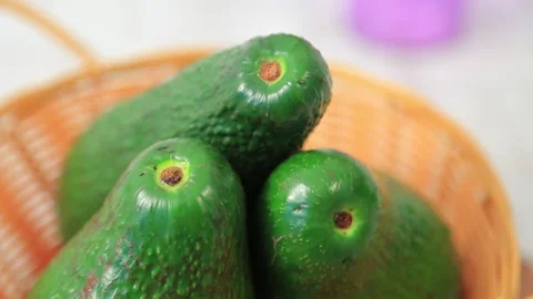 AVOCADO 7 Stock Footage 155549884
