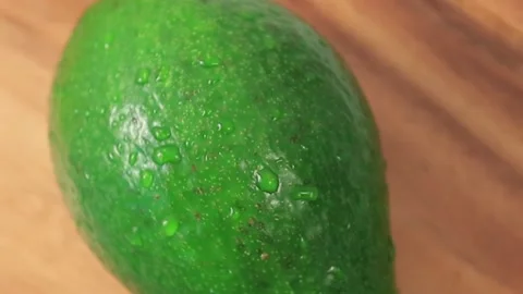 AVOCADO 8 Stock Footage 155549887