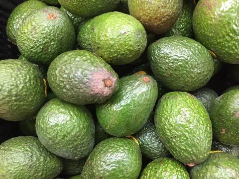Avocado - Aguacates 스톡 사진