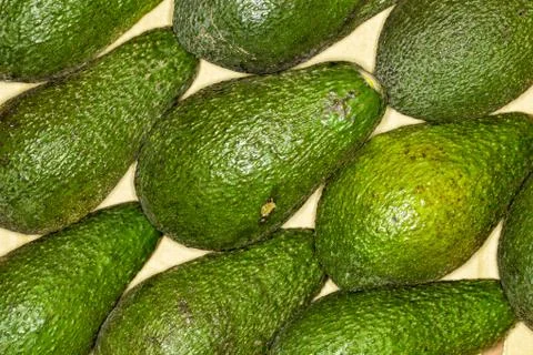 Avocado, alligator pear regular background. Macro. Full of details. Avocado o Stock Photos