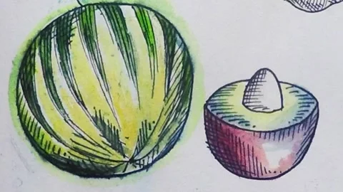 Avocado and melon Stock Footage 291329263