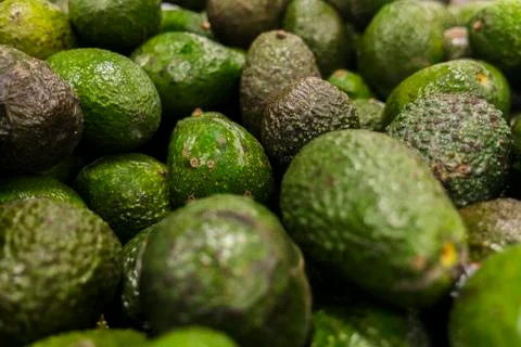 Avocado background. Stock Photos