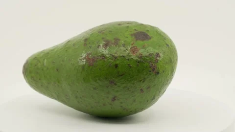 Avocado close up Stock Footage 235368233