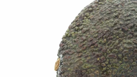 Avocado Close up of one half rotating on a turntable. Stock Footage 161104759
