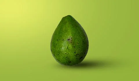 Avocado composition for background design Stock Photos