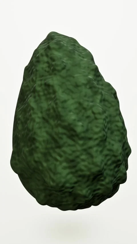 Avocado cut in half with stone on white background. 3d rendering 库存影片 340403327