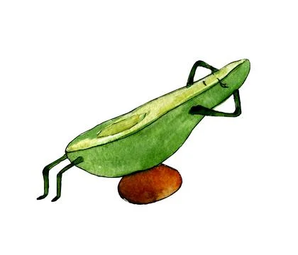 Avocado doing a sit up hand drawn clipart Stock Illustration