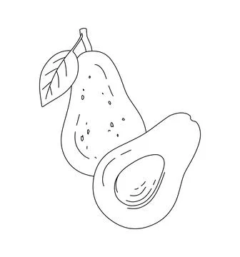 Avocado Doodle Vector Illustration coloring book for Kids Stock Illustration