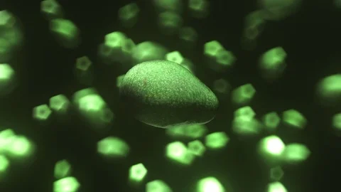 Avocado Float Against a Vibrant Bokeh Background Stock Footage 72299598