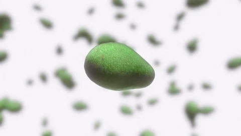 Avocado Floating Against a White, Defocussed Background 库存影片 72299600