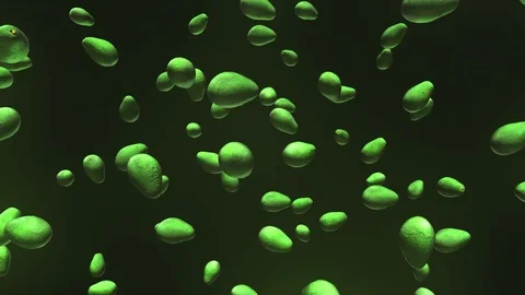 Avocado Floating on a Black Background 库存影片 72299595