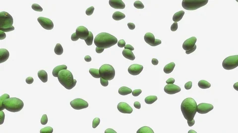 Avocado Floating on a White Background Stock Footage 72299602