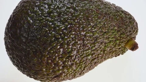 Avocado  Stock Footage 73517202