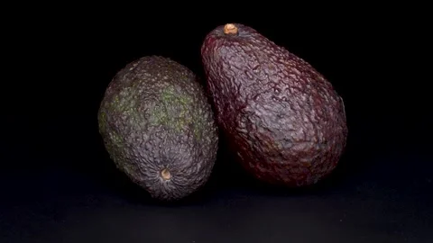 Avocado Stock Footage 291019843