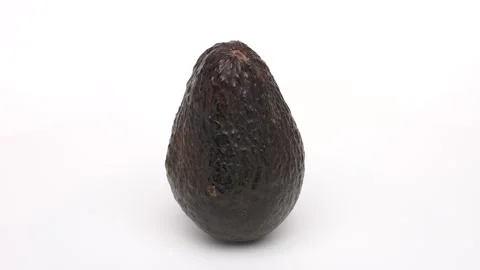 Avocado Stock Footage 293548472