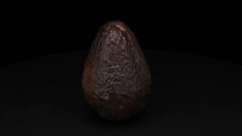 Avocado Stock Footage 293549212