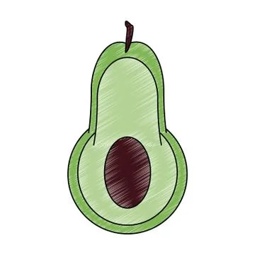 Avocado fresh vegetable scribble Stock Illustration
