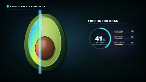 Avocado freshness scan and quality control analysis with spectral composition. Stock Footage 344888589