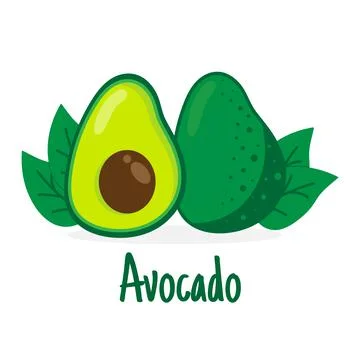 Avocado fruit. Cartoon vector icon isolated on white background. Stock Illustration