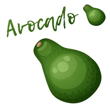 Avocado fruit. Cartoon vector icon isolated on white Stock Illustration