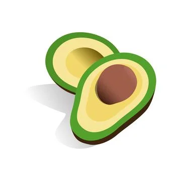 Avocado fruit creative design. Vector illustration. Illustrazione stock