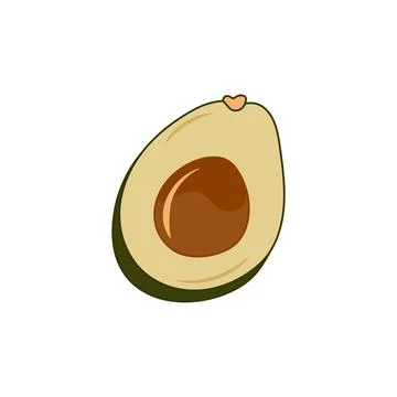 Avocado fruit. Cut in half avocado with pit. Illustrazione stock