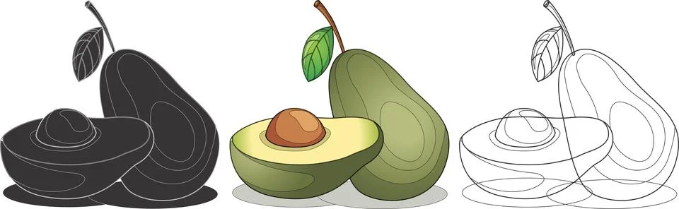 Avocado fruit design illustration Vector Illustrazione stock